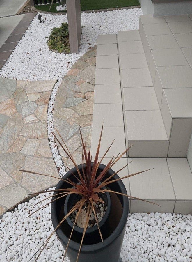 Schmick White Pebbles for Decoration - Pebbles for Plants Pots - Pebbles for Garden, Fish Tank Aquarium, Table, Vase Fillers (1.9 Kg, White Stones) - Image 4